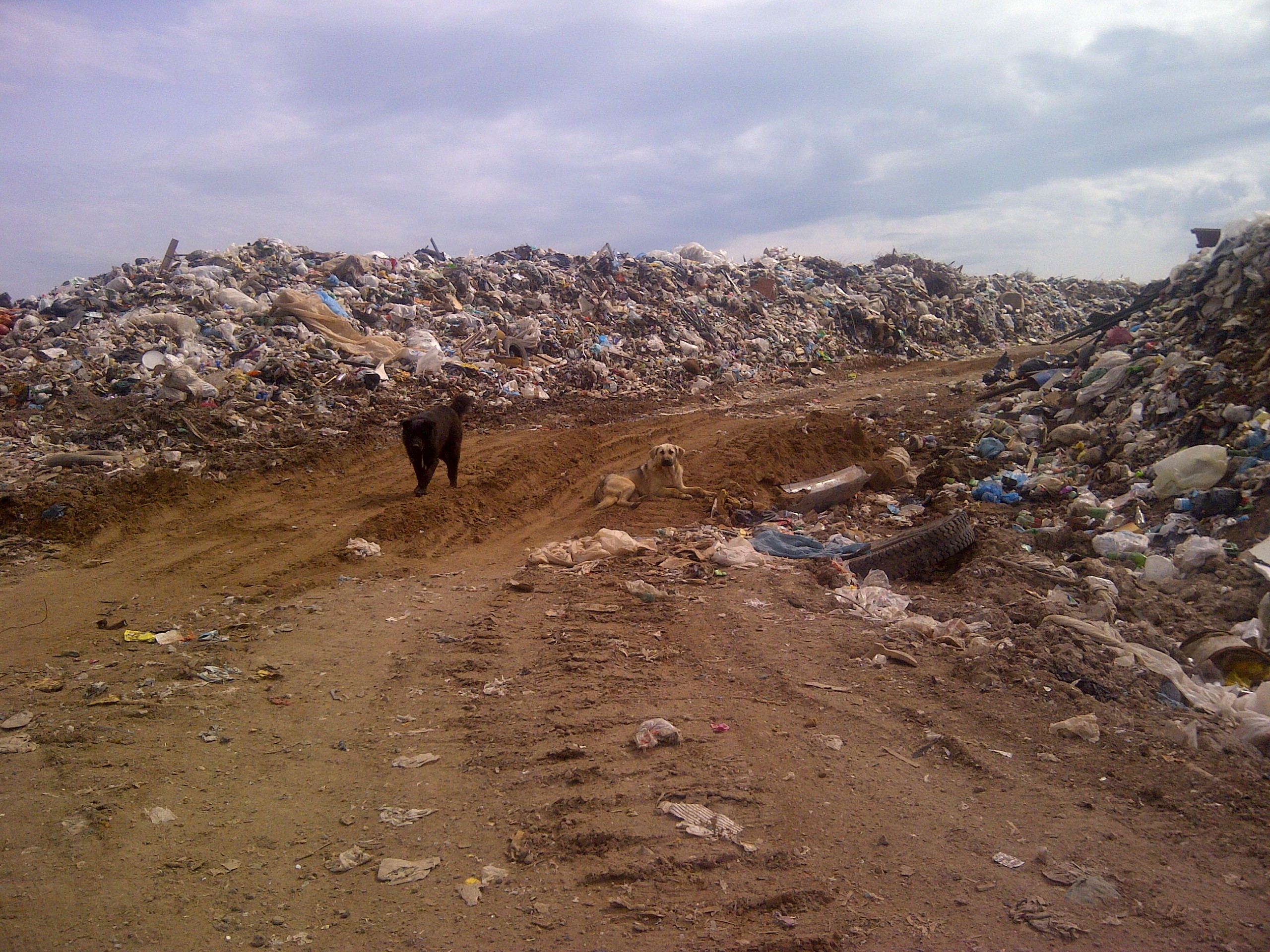 Mülldeponie bei Perm (Russland) © ABF- BOKU